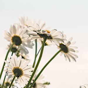 Quelle: Foto: Couleur / Pixabay (lizenzfrei)