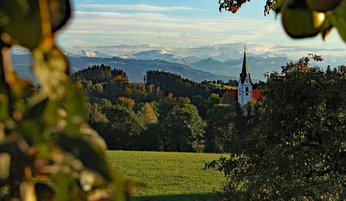 Quelle: Katholisches Dekanat Allgäu-Oberschwaben