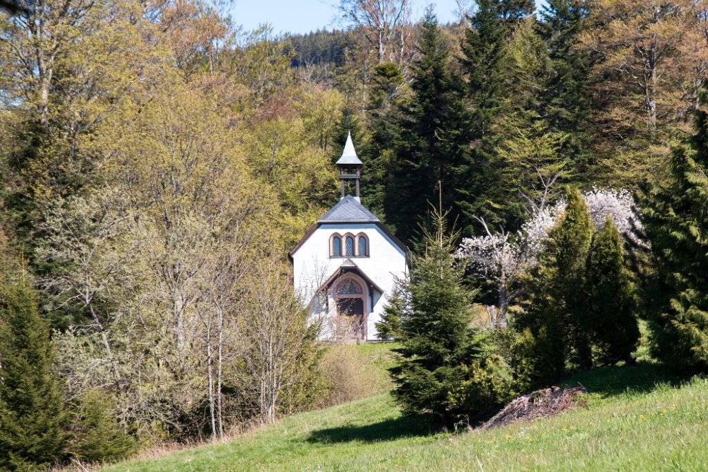 Quelle: Ökumenisches Netzwerk Kirche im Nationalpark Schwarzwald