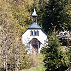 Quelle: Ökumenisches Netzwerk Kirche im Nationalpark Schwarzwald